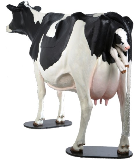 Hol&scaron;t&yacute;nsk&yacute; skot-1